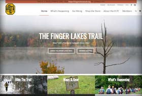 trail website portfolio