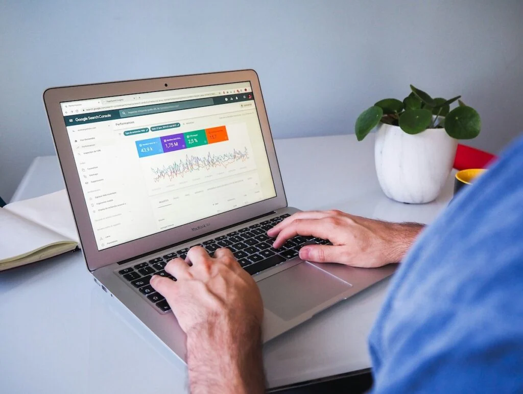 Person typing on a laptop showing an analytics page, beside a potted plant