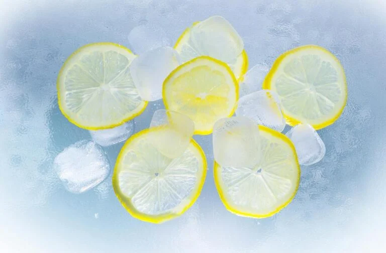 Watercolor illustration of lemon slices
