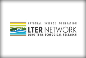 LTR Network logo