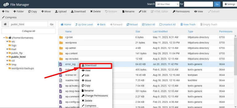 cPanel File Manager right-click menu on the error_log file with Download boxed in red
